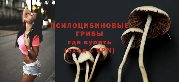 бошки Баксан