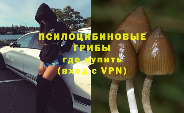 дмт Балахна