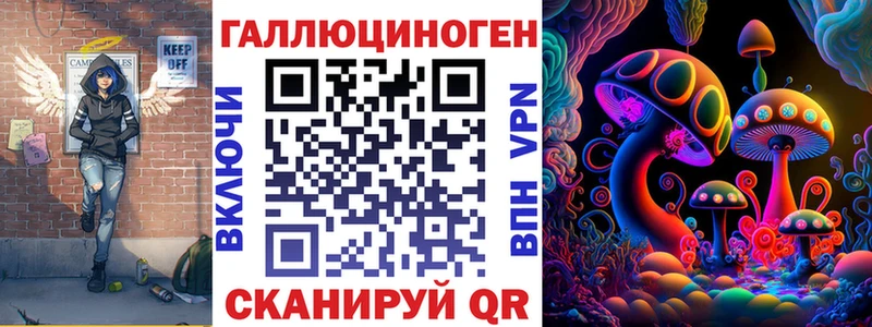 Псилоцибиновые грибы Cubensis  Буинск 